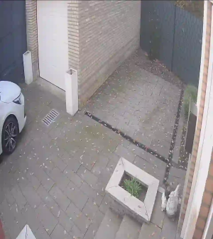 Caméra IP - Netherlands