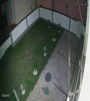 Caméra IP - Serbien