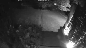 Caméra IP - South Africa