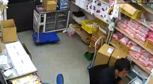 Caméra IP - Giappone