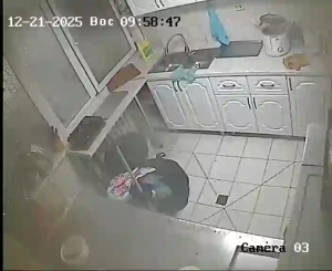 Caméra IP - Kasachstan