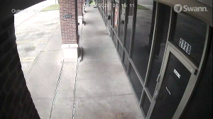 Caméra IP - Estados Unidos