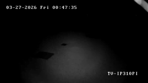 Caméra IP - Vereinigte Staaten von Amerika