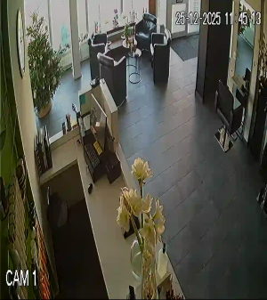 Caméra IP - Niederlande