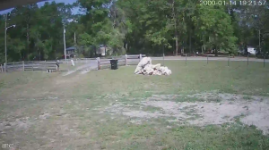 Caméra IP - United States of America