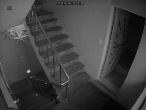 Caméra IP - South Korea