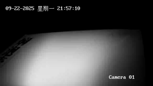Caméra IP - Chine