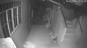 Caméra IP - Brésil