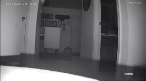 Caméra IP - United States of America