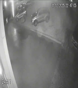 Caméra IP - Denmark