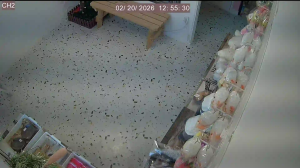 Caméra IP - South Korea