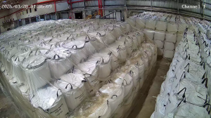 Caméra IP - Vue en direct