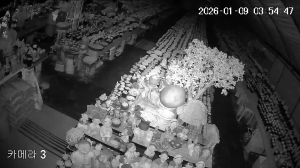 Caméra IP - República de Corea