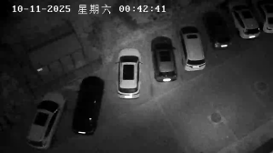 Caméra IP - China