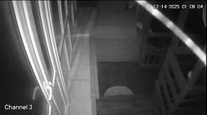 Caméra IP - Roumanie