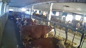 Caméra IP - Germany