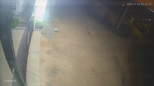 Caméra IP - Colombia