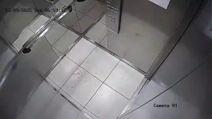 Caméra IP - 브라질