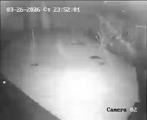 Caméra IP - Hungary