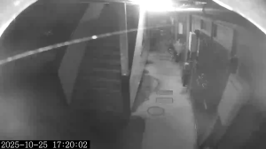 Caméra IP - Giappone