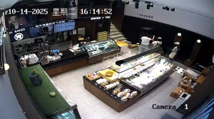 Caméra IP - Chine
