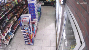 Caméra IP - United States of America