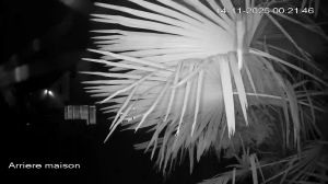 Caméra IP - Belgique