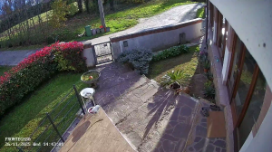 Caméra IP - Italien