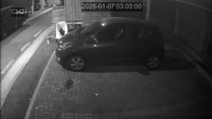 Caméra IP - South Korea