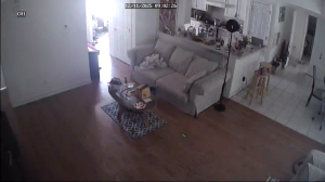 Caméra IP - États-Unis d'Amérique