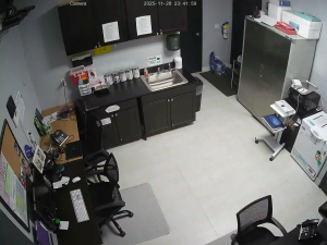 Caméra IP - Vereinigte Staaten von Amerika