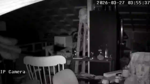 Caméra IP - Vereinigte Staaten von Amerika