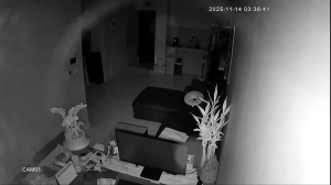 Caméra IP - South Korea