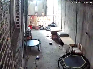 Caméra IP - South Korea