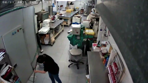 Caméra IP - Spanien