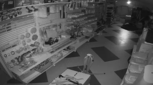 Caméra IP - Russische Föderation