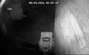 Caméra IP - Pays-Bas