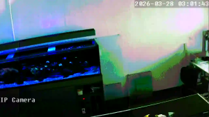 Caméra IP - Brésil