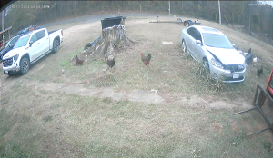 Caméra IP - Vereinigte Staaten von Amerika