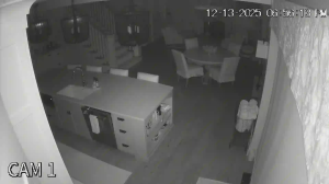 Caméra IP - Vereinigte Staaten von Amerika