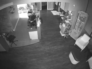 Caméra IP - Vereinigte Staaten von Amerika