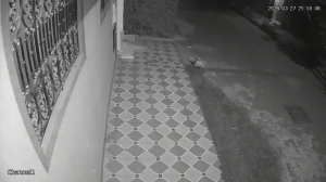 Caméra IP - Morocco