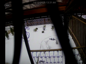 Caméra IP - Russian Federation