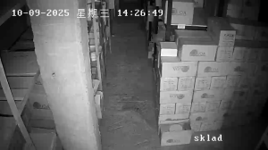 Caméra IP - ウズベキスタン