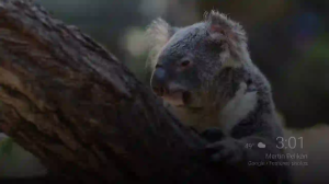 Caméra IP - United States of America