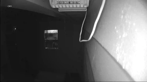 Caméra IP - Vereinigte Staaten von Amerika