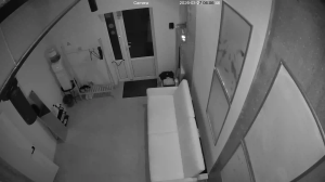 Caméra IP - Ucrania