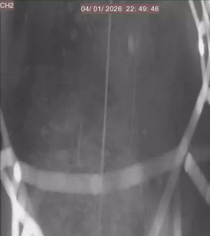 Caméra IP - États-Unis d'Amérique