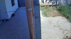 Caméra IP - Tunesien