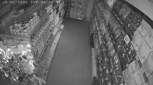 Caméra IP - Russian Federation